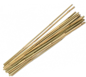 Tuteurs bambou 0,90m - lot de 4